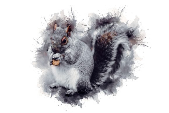 Animal Printables 300 Dpi Pack 06: Instant Art for Every Space