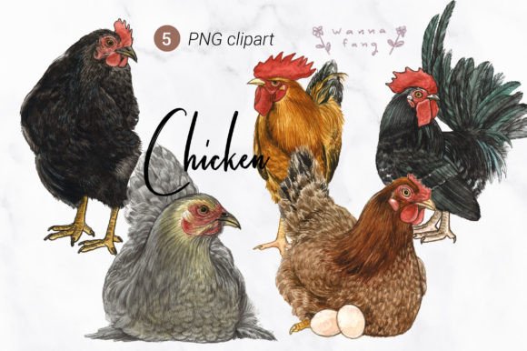 Charming Chicken Watercolor Clipart for Creative Projects