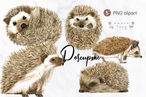 Porcupine Watercolor Animal Clipart, PNG: A Creative Designer's Guide